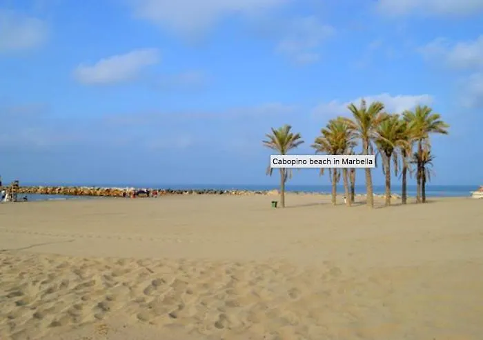 Luxury With Heated Pool For 12 To 14 People Villa *